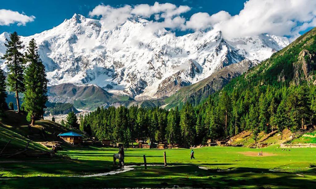 What to Do in Fairy Meadows 2 Fairy Meadows