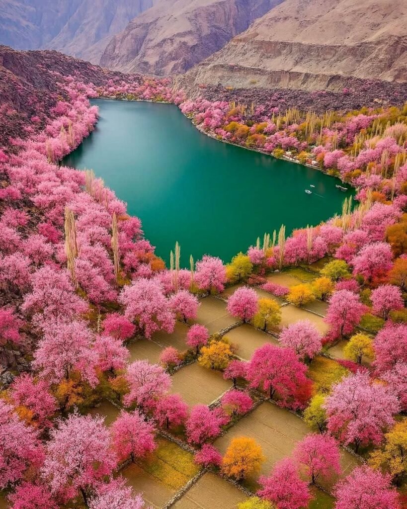 Cherry Blossom Season in Hunza & Skardu