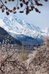 skardu spring