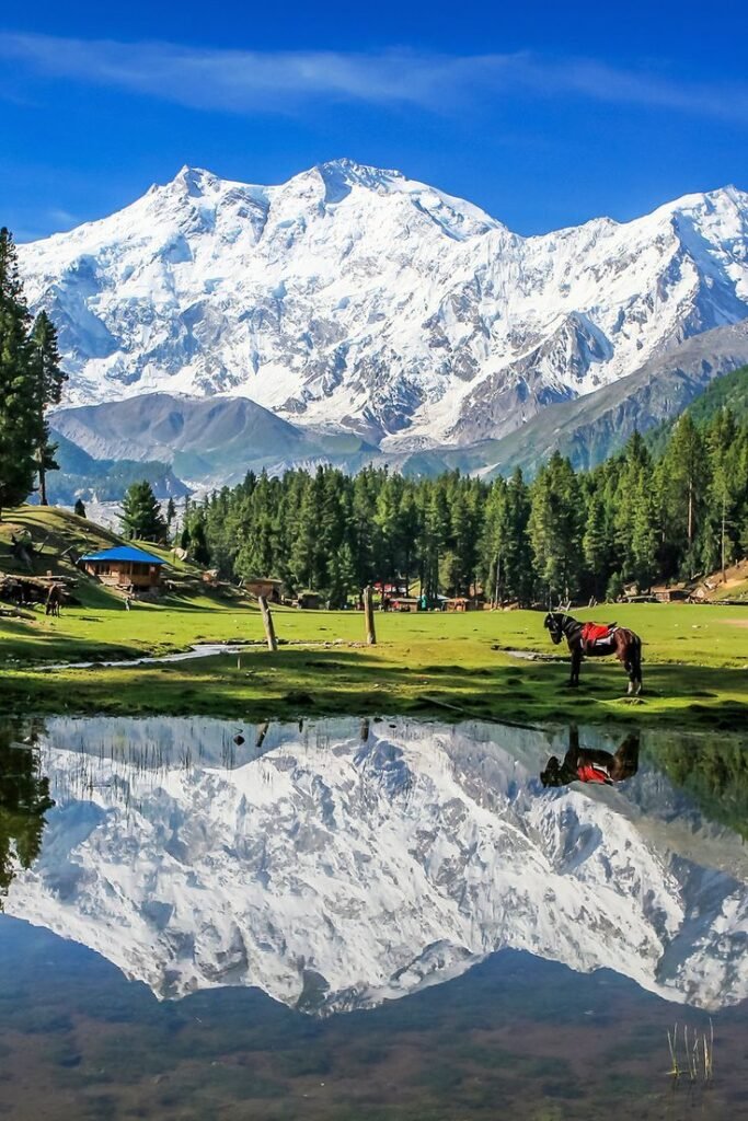Fairy Meadows Pakistan