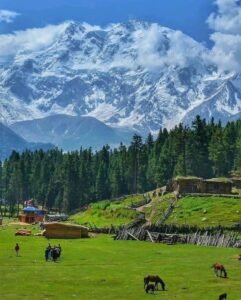 Fairy Meadows Pakistan