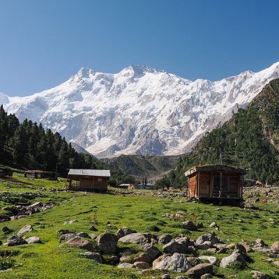 53951991733_386bc320db_c