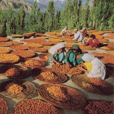 HUnza dry fruit