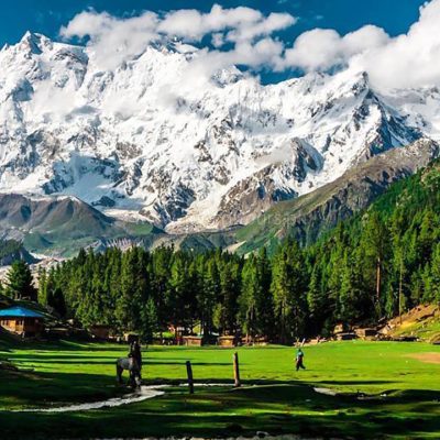 Fairy Meadows