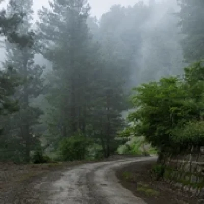 curved-unpaved-mountain-track-surrounded-260nw-2738150125