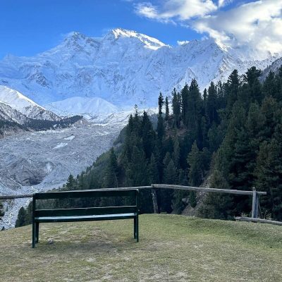 fairy meadows2