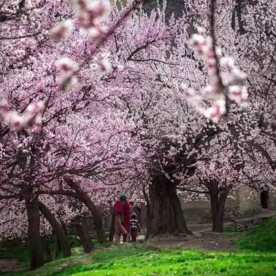 Hunza Skardu Honeymoon Tour