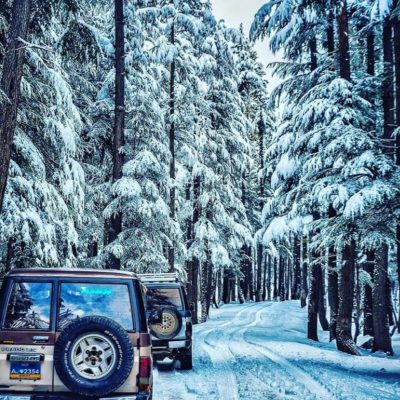 Two off-road vehicles driving through snowy forest with tall conifer trees
