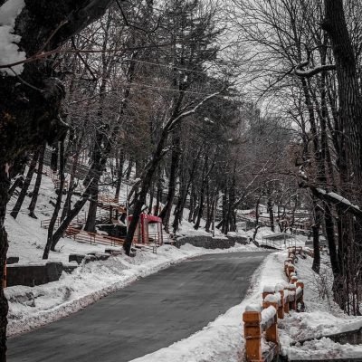 muree