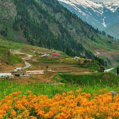 naran nature