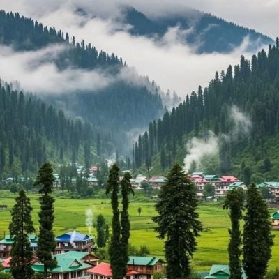 Arang Kel meadow Azad Kashmir landscape
