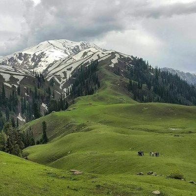 shogran