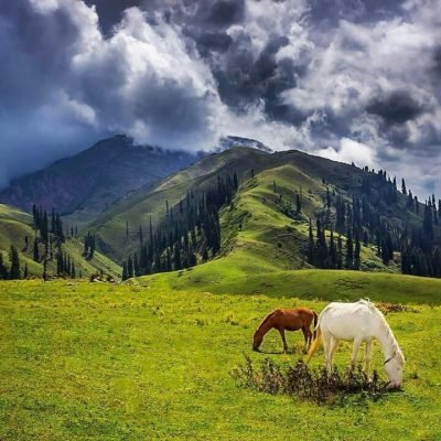 Shogran